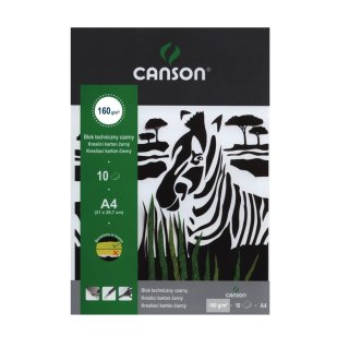 Blok techniczny A4 czarny 10 kartek Canson® 075233