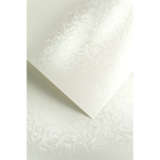 Karton papier wizytówkowy ozdobny A4 20 arkuszy 220 g Galeria Papieru Olympia perłowa biel