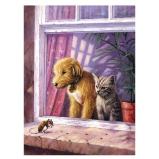 Numerowanka kolorowanka A4 z farbami Pies i kot w oknie Royal & Langnickel PJS-65