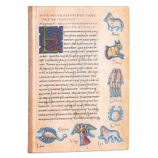 Paperblanks Flexis Notes w linie midi Astronomica De Sideribus Tractatus