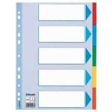 Przekładki A4 5 kart z kolorowego kartonu Esselte 100191