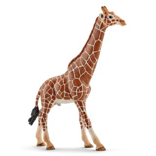 Żyrafa samiec, Schleich 14749 figurki