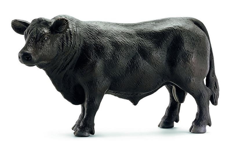 Angus czarny byk, Schleich 13766 figurki