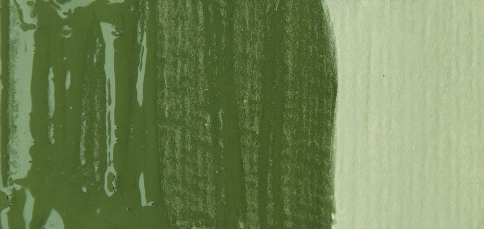 Farba Akrylowa Pidilite 16 OLIVE GREEN Fevicryl 50ml