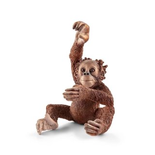 Młody orangutan Schleich® Wild Life 14776 12686