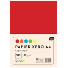 Papier do ksero drukarki kolorowy A4 100 arkuszy 80 g Interdruk 14065