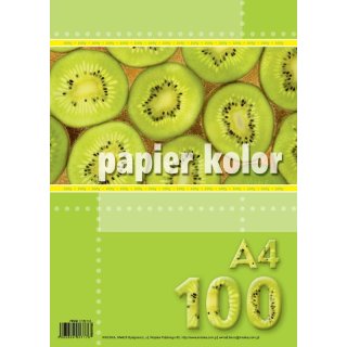 Papier do ksero drukarki kolorowy A4 100 arkuszy 80 g Kreska 801176