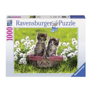 Puzzle Koci piknik 1000 elementów, Ravensburger 194803
