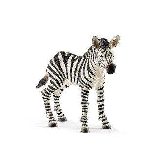 Zebra źrebię Schleich® Wild Life 14811 20797